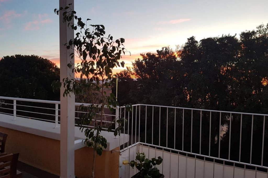 Suite Milu Cagliari Ngoại thất bức ảnh