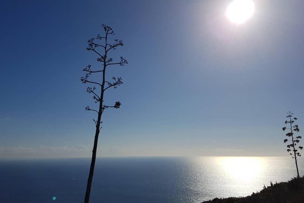 Suite Milu Cagliari Ngoại thất bức ảnh